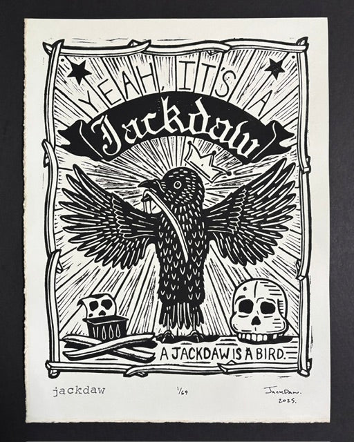 Jackdaw
